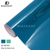 BlackAnt BA-WB Temperature Color Change Adhesive Vinyl Sheet DIY Craft Permanent Vinyl for Cricut
